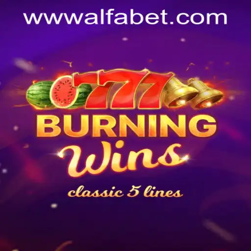 A Comprehensive Insight into the Engaging World of BurningWins